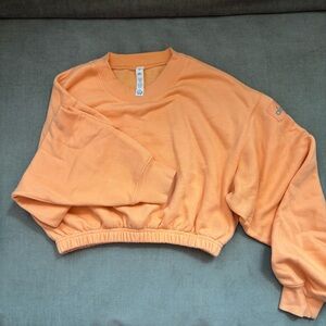 Alo Cropped Sweatshirt